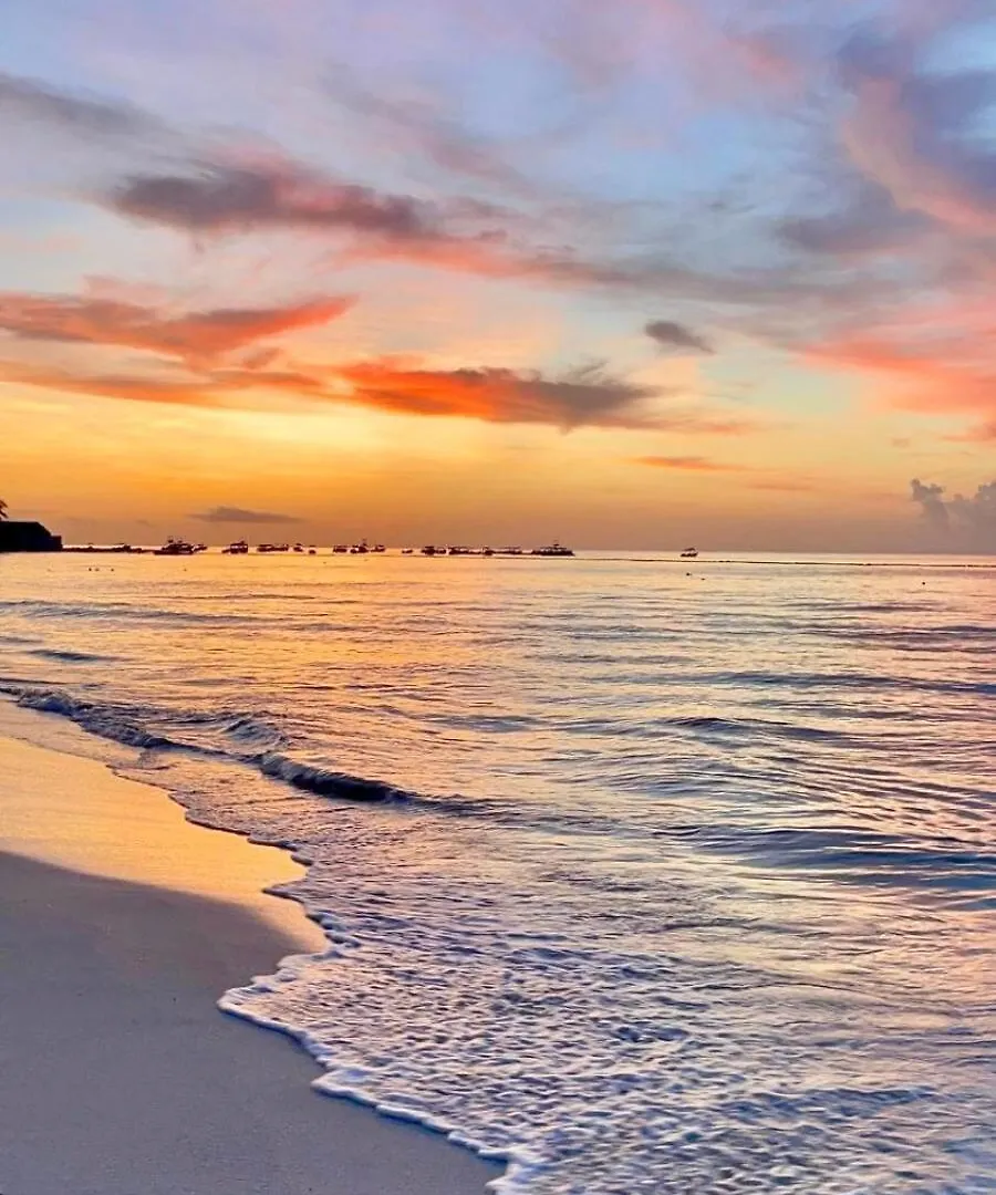 Private Beach Club-Penthouse For Large Groups Playa del Carmen Mexico